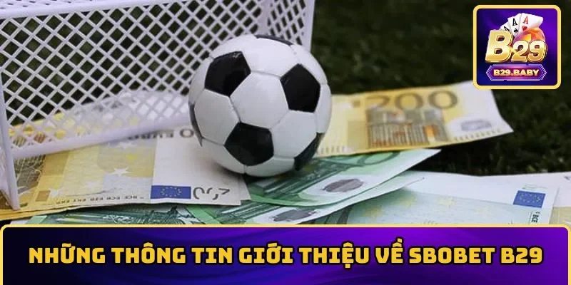 SBOBET B29 – Sảnh Sports Chất Lượng Kèo Thơm Nhất Cổng Game