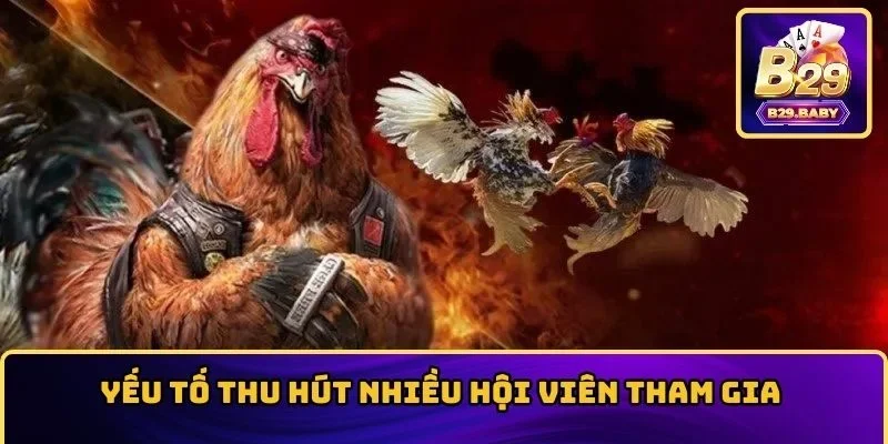 Yếu tố thu hút nhiều hội viên tham gia
